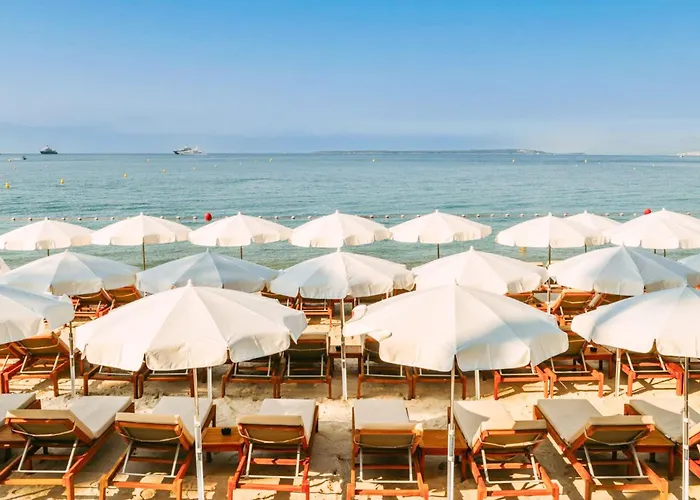 4 Guests Front Of The Sea
